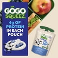 thumbnail image 3 of GoGo squeeZ Low Fat Yogurtz Blueberry and Berry Yogurt Snack Pouches, 3 oz (10 Pack), 3 of 16