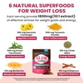 thumbnail image 4 of Venture Pal Slim Mushroom Coffee,Instant Coffee with Berberine, Cinnamon, Yerba Mate,Turmeric, & More, 1800mg(10:1) Extract for Diet Support & Metabolism Boost - 40 Servings, 4 of 6