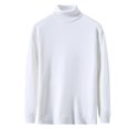 thumbnail image 4 of Pull Tricoté à Manches Longues Col Montant Couleur Unie Mode Décontractée pour Hommes, 4 of 8