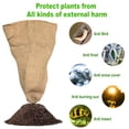 thumbnail image 4 of Bolsa de protección con cordón Chaqueta Cubiertas de plantas Protección de plantas al aire libre Frío Zulema Cubierta de protección de árboles, 4 of 8