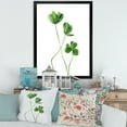 thumbnail image 3 of Designart 'Field Green Plant Detail Clover' Farmhouse Framed Art Print, 3 of 4