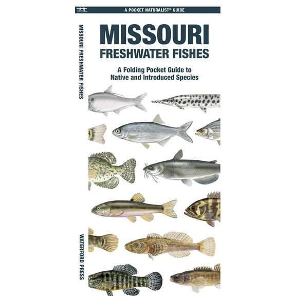 Nature Observation North America Missouri Freshwater Fishes, (Paperback)