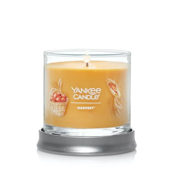 Yankee Candle Small Tumbler Scented Single Wick Jar Candle, Harvest, 4.3 oz (Pack of 2)