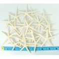 thumbnail image 4 of Starfish Decor Nautical Crush Trading, paquete de 20 unidades de 5 a 8 cm, color blanco, 4 of 9