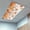 Orange, variant on Thanksgiving Fall Pumpkins Fluorescent Light Covers, Orange Maple Leaf Autumn Magnetic Light Covers for Ceiling Lights, Fluorescent Ceiling Shade Filters for Classroom Bedroom Office 4x2Ft x 4PCS