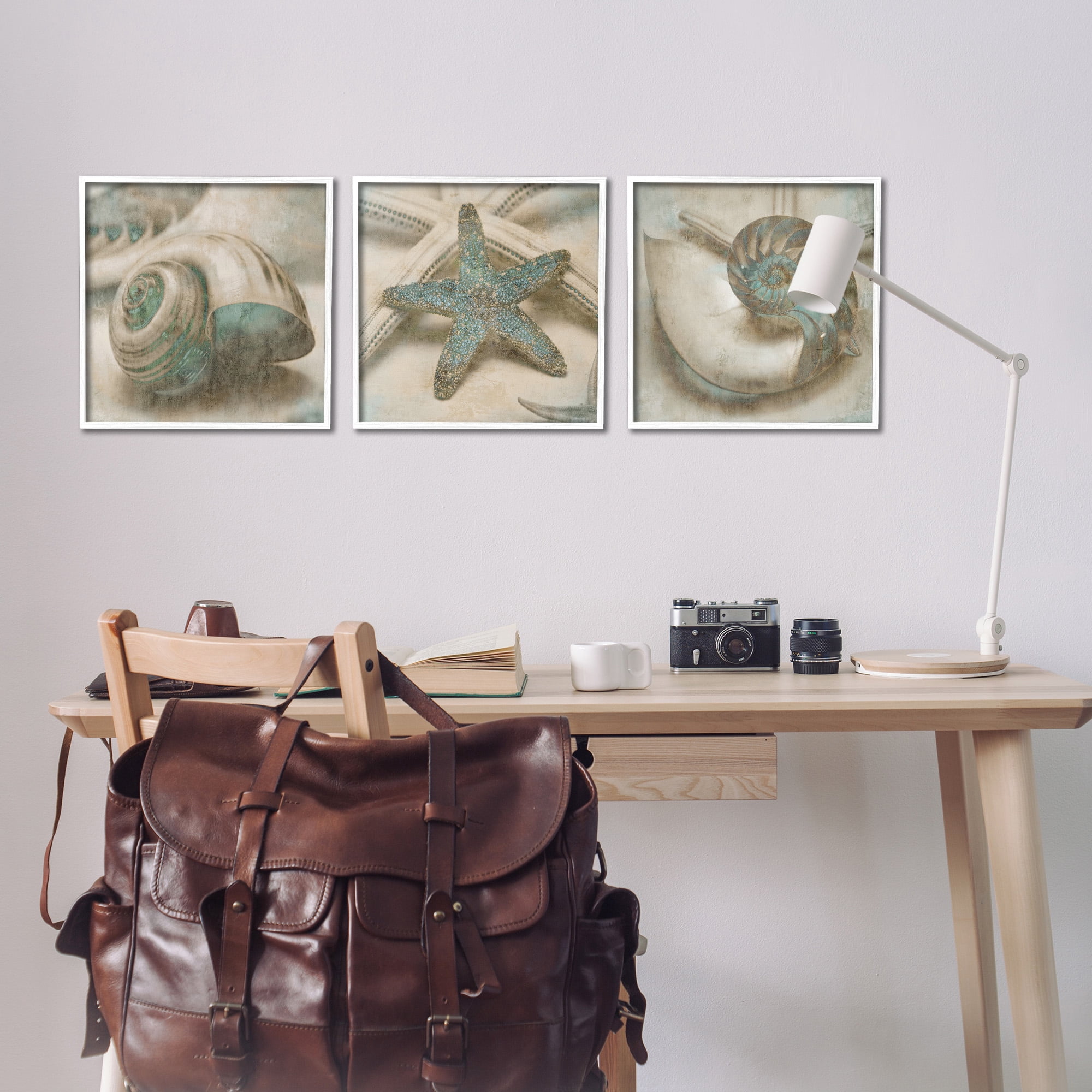 Stupell Industries Starfish & Sea Shells Distressed Nature Painting White Framed Art Print Wall Art, 17 x 17, Set of 3