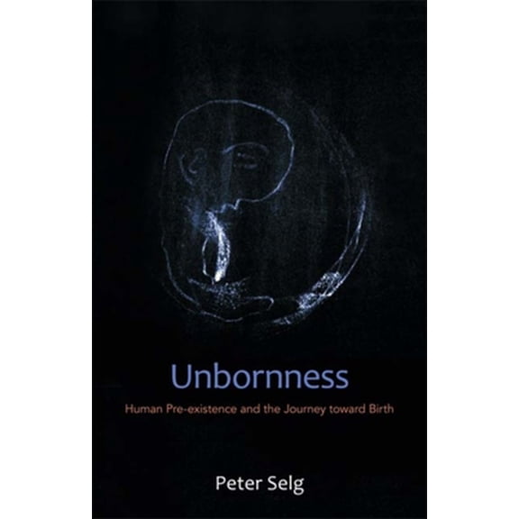Pre-Owned Unbornness: Human Pre-Existence and the Journey Toward Birth (Paperback) 0880107189 9780880107181