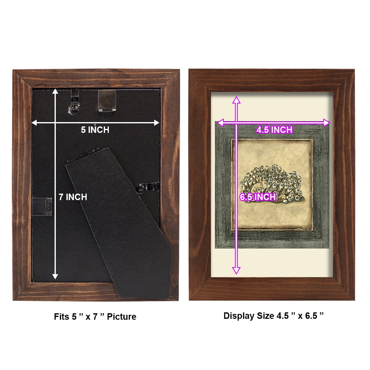 Mini Exotic Coral I (U) - Framed Print w/glass - Chestnut