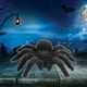 thumbnail image 1 of Arañas peludas de Halloween Jadeshay 5 piezas Arañas peludas realistas Arañas aterradoras de Halloween, 1 of 9