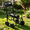 Black, variant on Ktaxon Iron Garden Hose Cart, 4-Wheel Mobile Pipe Truck with Dark Green Frame for Yard & Lawn