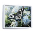 thumbnail image 2 of Designart "Butterfly Haven Blue Black I" Animals Floater Framed Canvas Print, 2 of 7