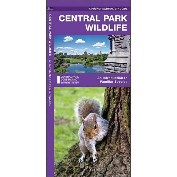 Wildlife and Nature Identification: Central Park Wildlife : A Folding Pocket Guide to Familiar Animals (Edition 2) (Other)