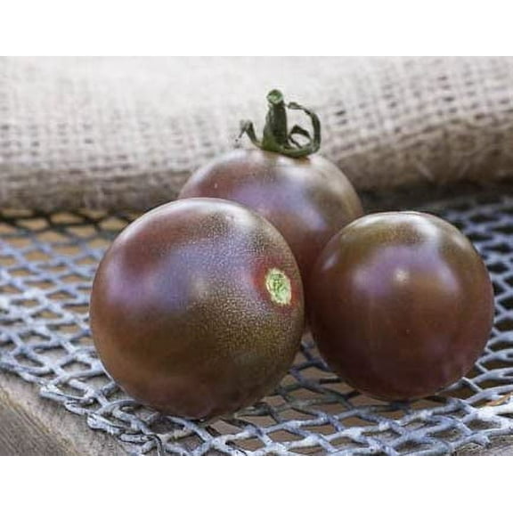 Sherwood's Seeds Black Cherry Heirloom Tomato Plant Seeds