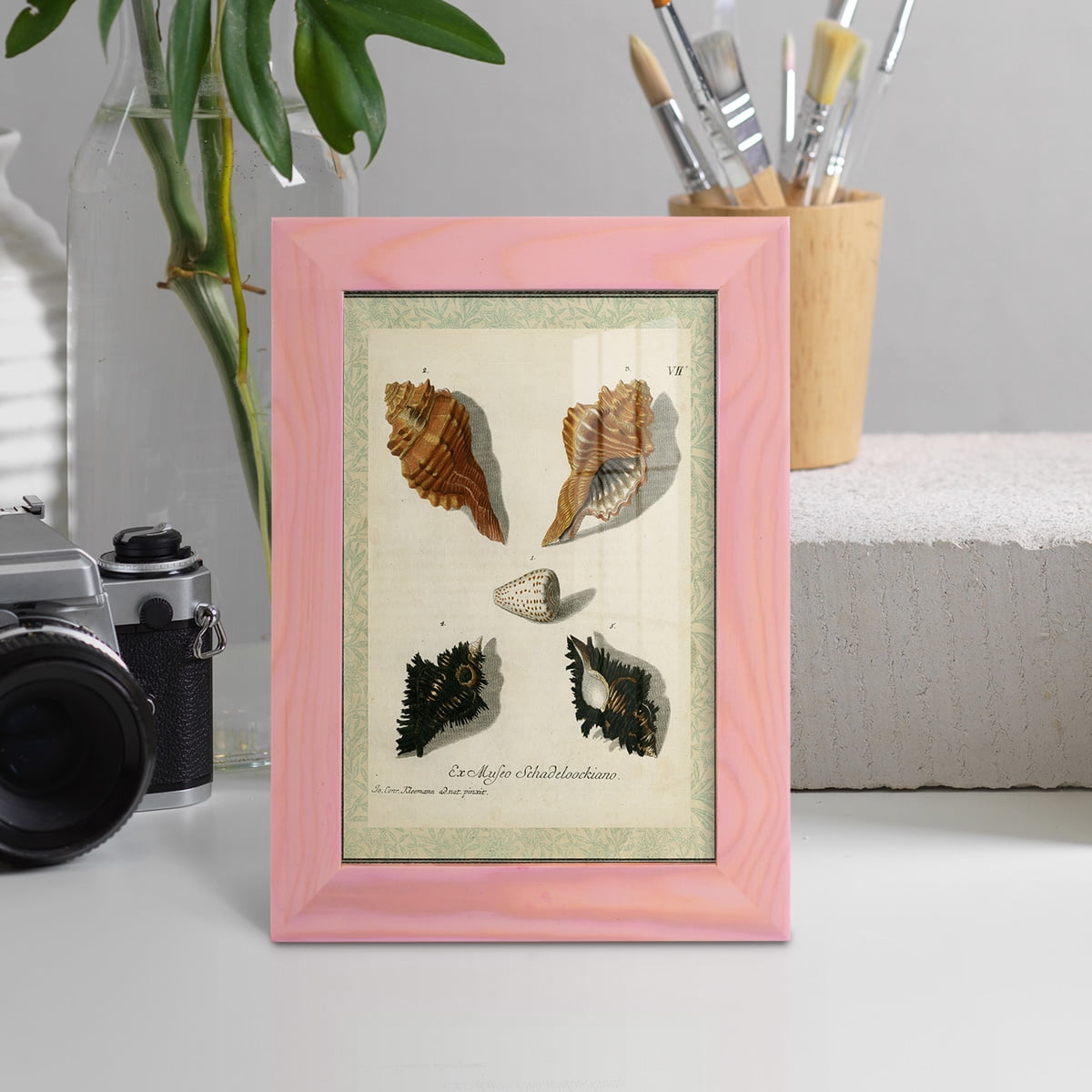 Bookplate Shells I - Framed Print w/glass - Sunset Pink