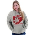 thumbnail image 3 of Ohio Shaped State Pride Buckeye Leaf Unisex Plus Fleece Graphic Hoodie Brisco Brands 2X, 3 of 5