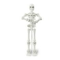 thumbnail image 1 of Lot de 7 Figurines Articulées 13 Squelettes, Décor de Squelette Articulé Imprimé 3D, Figurine Mannequin 13 Articulée Multi-Articulations Imprimée 3D pour Adultes, 1 of 8
