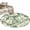 Sage Green White, variant on Round Rugs 3.3Ft, Sage Green Spring Floral Round Area Rug Washable Indoor Throw Carpet, Summer Botanical Farmhouse Soft Non Slip Circle Rug for Laundry Room Patio Home Decor Aesthetic