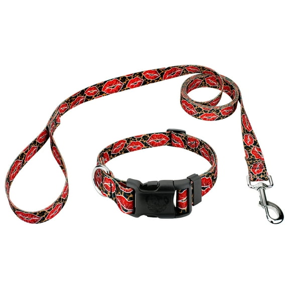 Country Brook Petz® Deluxe Cheetah Kisses Dog Collar and Leash, 2XS