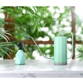 thumbnail image 2 of XIAOLE Long Spout Watering Can Indoor, Small Watering Cans For House Plants, Flowers, Succulents, A Must-Have Watering Pot For Succulent Plants In The Courtyard 34oz, 2 of 6