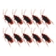 thumbnail image 1 of 10 unidades de broma cucarachas, truco favorito, juguetes de broma, parecen reales, cucarachas de plástico realistas y novedosas para fiestas, 1 of 8
