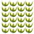 thumbnail image 4 of FELTECHELECTR 100 piezas de cálices de flores artificiales, cálices de plástico, receptáculos de flores de plástico, receptáculos de cálices para flores de bricolaje, 4 of 5