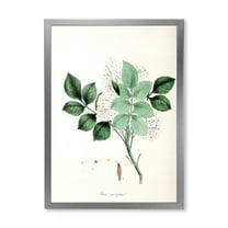 Designart 'Ancient Blossoming Flower IV' Farmhouse Framed Art Print