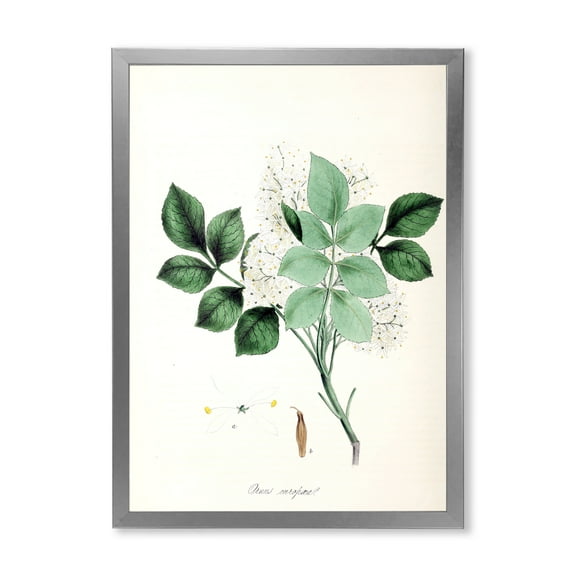 Designart 'Ancient Blossoming Flower IV' Farmhouse Framed Art Print