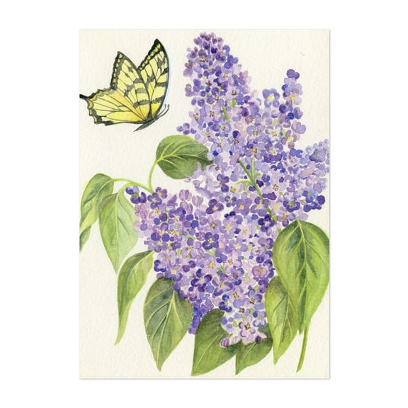 Butterfly and Lilac - Glen Rock Pennsylvania Drawing Floral Botanical Nature Unframed Wall Art Print 4 x 6 inches