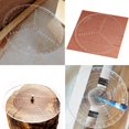 thumbnail image 5 of Woodturning Round Woodworking Compass Circles Drawing Tool Scale Centering Ruler for Woodturners Work 200MM, 5 of 5