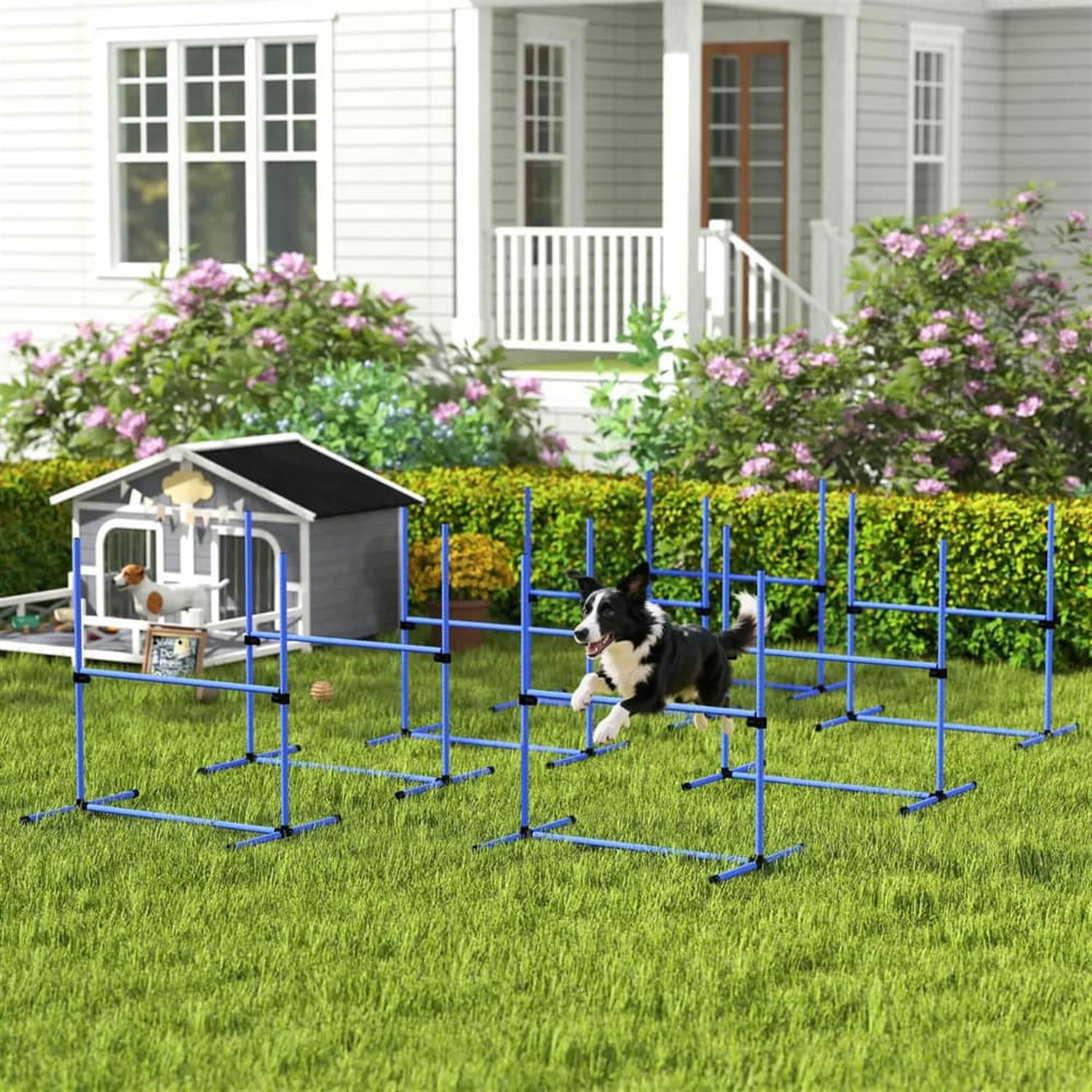 Kadyn 8-Piece Dog Agility Set with Height-Adjustable Bars, Portable Bag, Replacement Top Bar for Dog Training, Pet Agility, Blue
