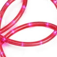 18' Pink LED Indoor/Outdoor Christmas Rope Lights - 2