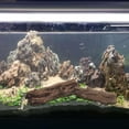 thumbnail image 5 of Zeiwohndc Stump Aquarium Decoration Betta Logs Hideout for Shrimp for Turtle Cichlid, 5 of 10