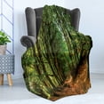 thumbnail image 4 of Woodland Soft Flannel Fleece Throw Blanket, Forest Scene Trees and Pathway Foliage Trunk Greenery Outdoor Picture, Cozy Plush for Indoor and Outdoor Use, 60" x 80", Green Brown, by Ambesonne, 4 of 5