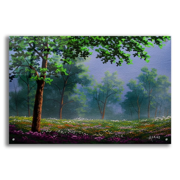 Epic Art 'Misty Morning' by Gary Adams, Acrylic Glass Wall Art, 36"x24"