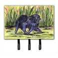 thumbnail image 1 of Carolines Treasures SS8444TH68 Pomeranian Leash Holder Or Key Hook, 1 of 1
