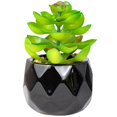 thumbnail image 1 of Artificial Succulent Plant Mini - Plastic Greenery Decoration Faux Potted Plant, 1 of 5