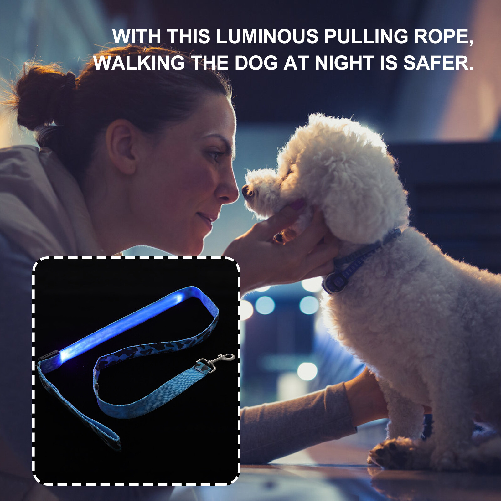 Luminous Leash for Dog Cat LED Pet Leash Outdoor Dog Leash for Night