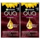 thumbnail image 1 of Tinte para el cabello Garnier Olia sin amoniaco 4.60 castaño oscuro, 2 x 60 ml, 1 of 1