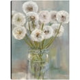thumbnail image 1 of Cuadro Decorativo - Mason Jar Deseos II Jr  Impresión en canvas, estrechado., 1 of 1