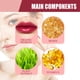thumbnail image 2 of Esmalte De Labios Con Hisopo De Algodón Caja cosmética del tabaco del lápiz labial líquido del lustre del brillo del labio del hisopo del algodón Ndcxsfigh Cuidado Belleza, 2 of 5