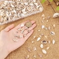 thumbnail image 3 of Natural Sea Shell Beads Kits Spiral Shell Cowrie Shell Trumpet Shell Ark Shell Snail Shell Seashell Color 7~40x3~22x3~15mm 175g/box, 3 of 6