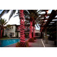 thumbnail image 2 of 16ft LED Ultra Flex Mini Rope Light, Red, 2 of 7