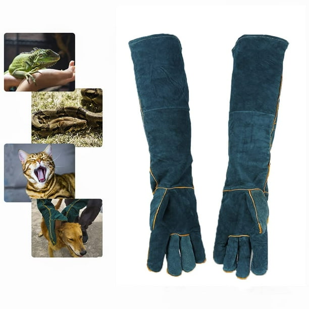Guantes Protectores Antiarañazos Resistentes A Mordeduras, Guantes De Entrenamiento Para Animales, 1 Par Compra Barata En