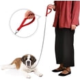 thumbnail image 5 of Correa de adiestramiento para perros, correa metálica ajustable con asa acolchada (roja), 5 of 5