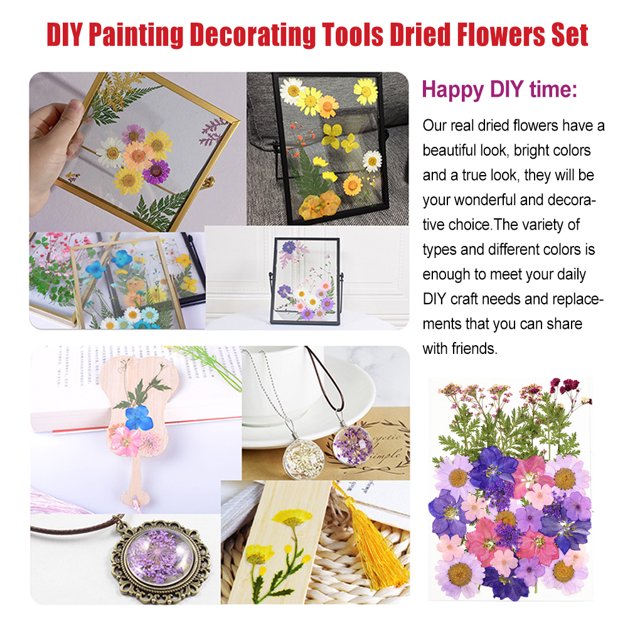 Ruiboury Dried Flowers Set Scrapbooking Decorating Real Flower Decal Handicraft Filling Pressed Specimen Label for Makeup Phone Use Type 14