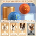 thumbnail image 2 of Orange USB-Rechargeable Smart Vibrating Bouncing Ball for Small Dogs & Cats - 2.1 Inch Interactive Pet Toy with Automatic Rolling/Shaking Modes, Bite-Resistant TPR Material, Relieves Boredom &, 2 of 6