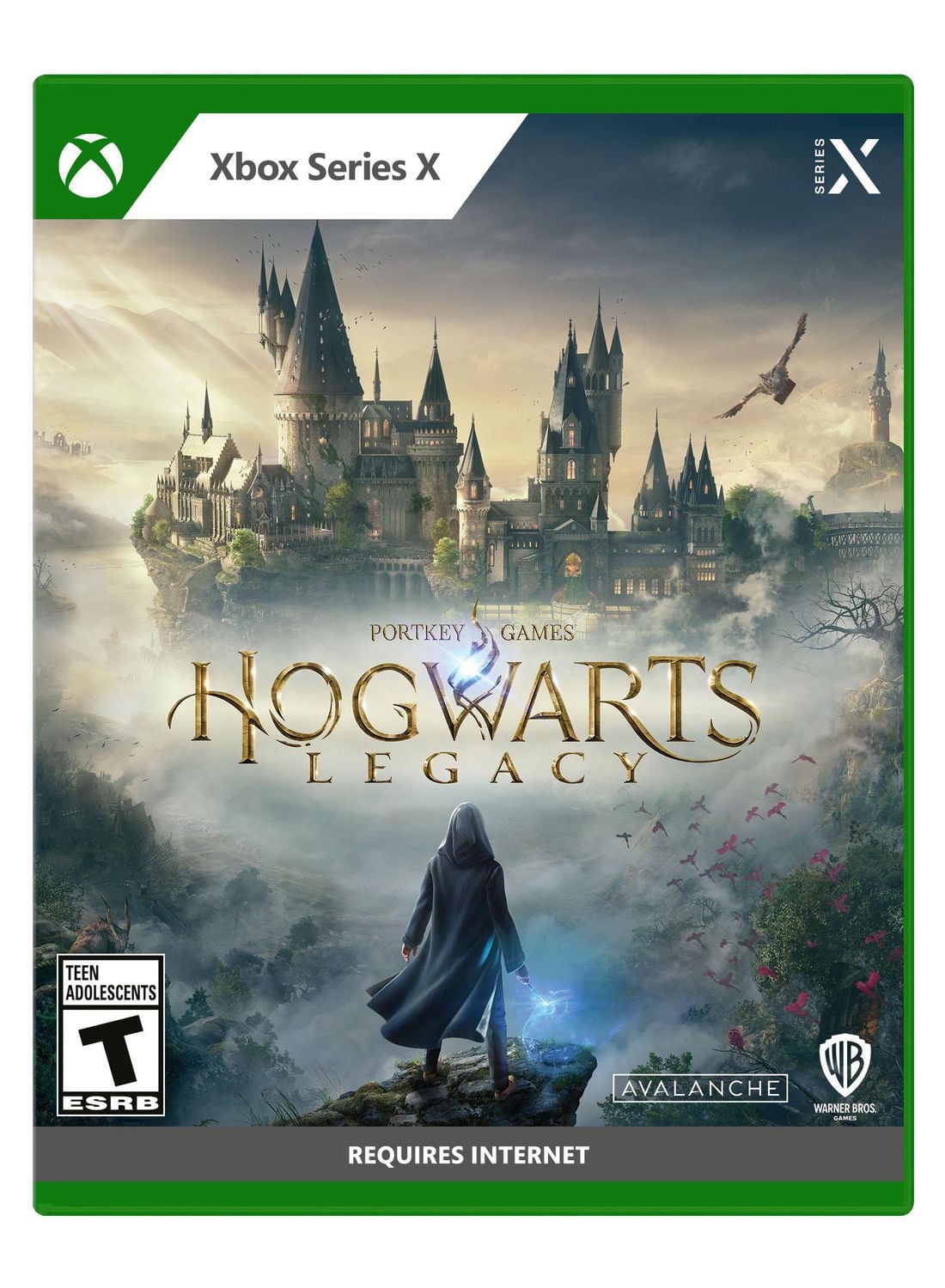Hogwarts Legacy (Xbox Series X/S), Xbox Series X/S