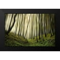 thumbnail image 2 of Krivec, Samanta 24x17 Black Modern Framed Museum Art Print Titled - Run forest run, 2 of 5