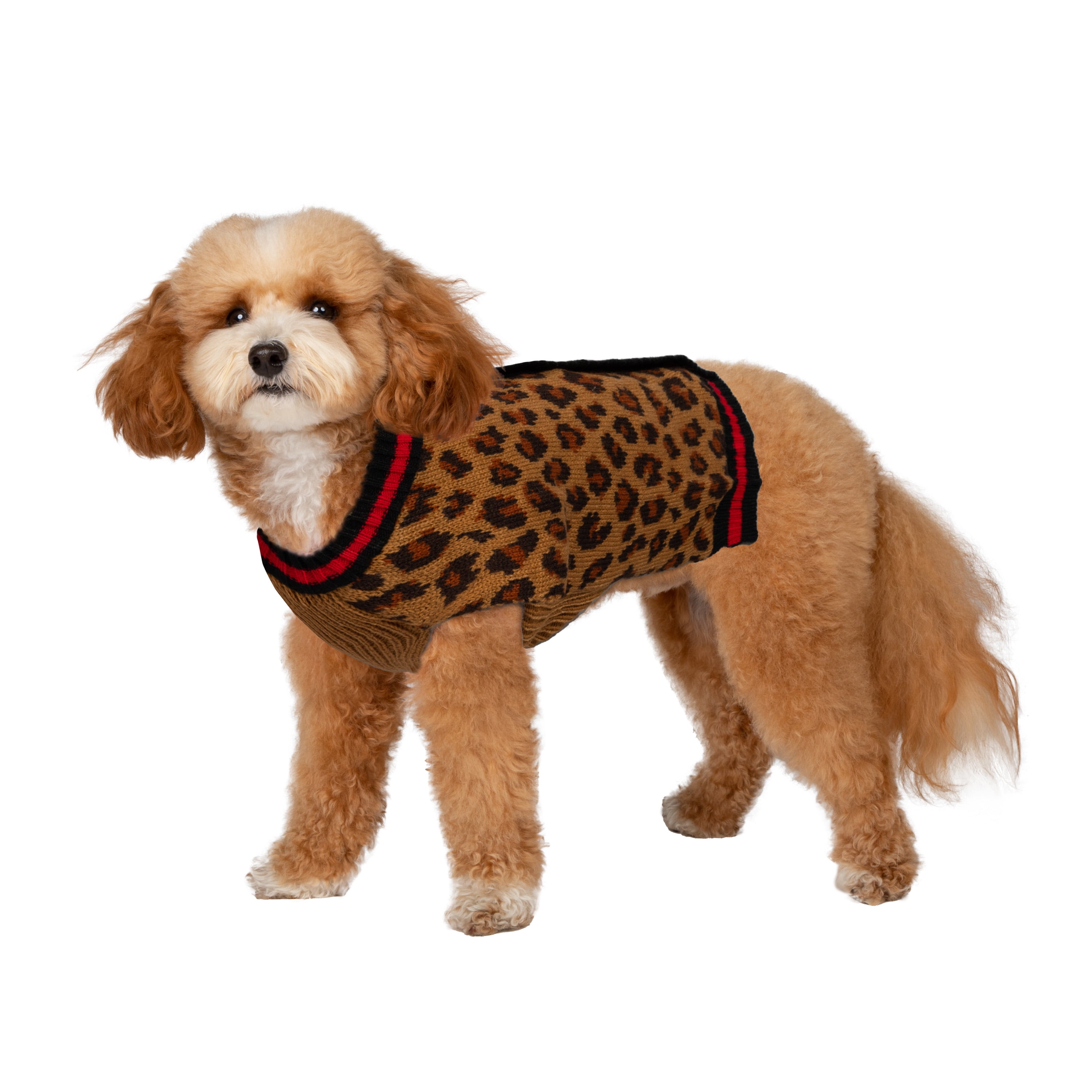 Trump Dog Sweater