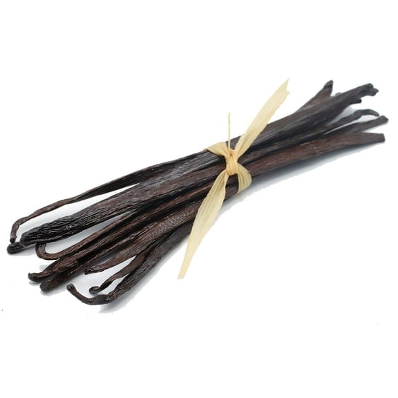 10 Extract Grade Mexican Vanilla Beans - Voladores Vanilla